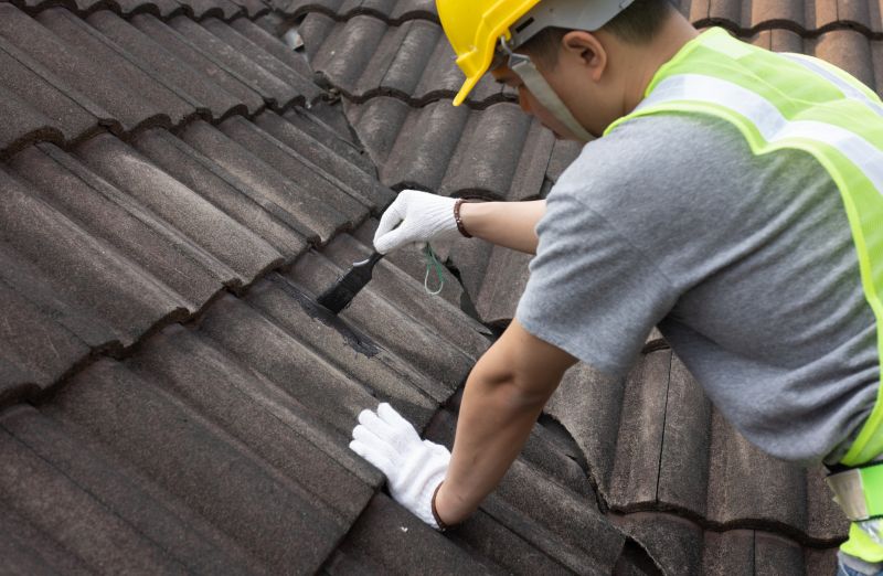 Specialized Roofers